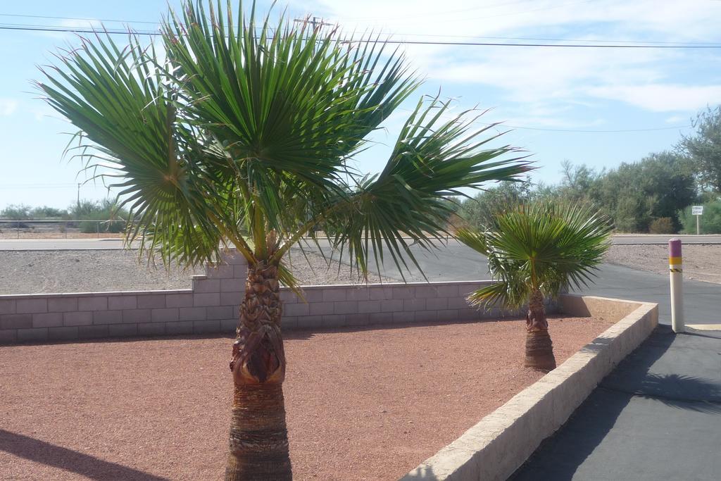 Palms Inn Gila Bend Ngoại thất bức ảnh