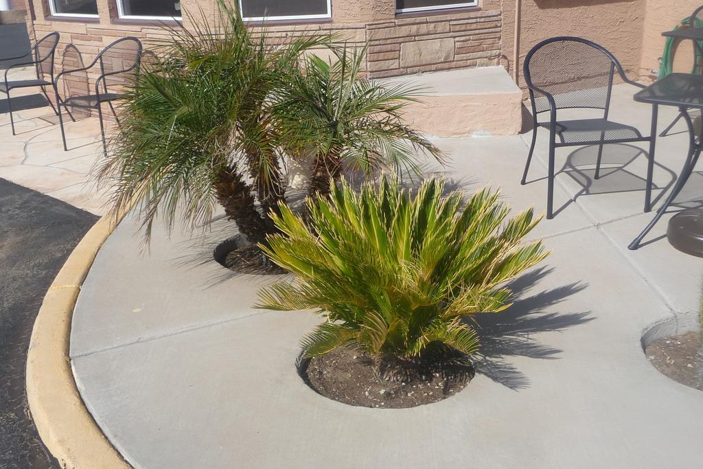 Palms Inn Gila Bend Ngoại thất bức ảnh